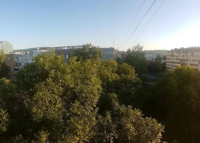 Comfortable Apartment Near The City Center